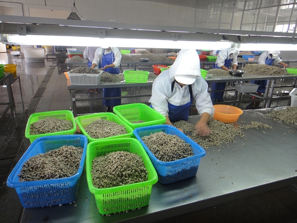 生產(chǎn)車間-002