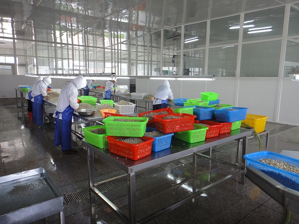 生產(chǎn)車(chē)間